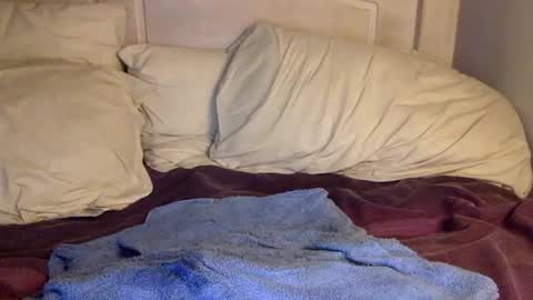 Snapshot of cleanuponaisle2 chatting on 02/04/25, 03:11 Anon online show from 02/04/25, 03:11