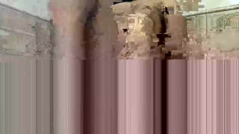 cockdoc4444 online show from 10/15/25, 05:40