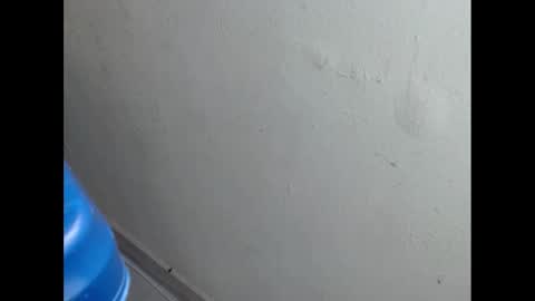 Snapshot of cockfanx chatting on 02/21/25, 01:55 cockfanx online show from 02/21/25, 01:55