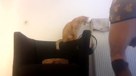 cockholder420 online show from 11/23/25, 09:09