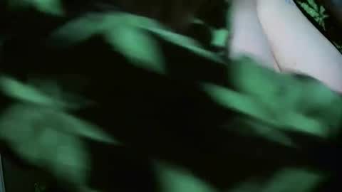 TheGoddessCodie online show from 12/29/24, 08:26