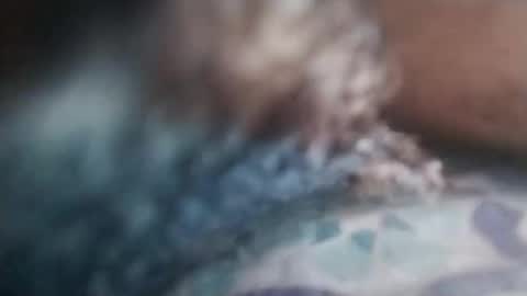 cojroymnamqm online show from 11/07/25, 05:13