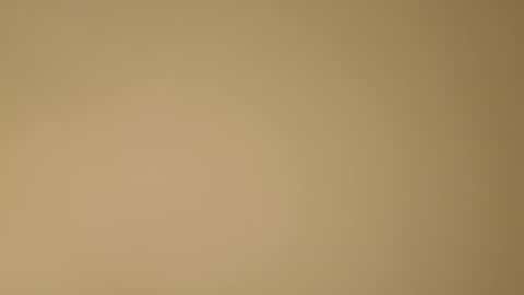 color233 online show from 11/08/25, 12:22