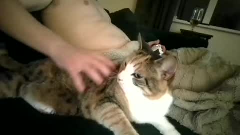 coupleorsexy online show from 09/29/25, 09:52