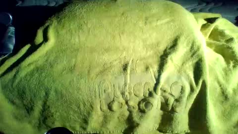 crave_me_ online show from 11/20/25, 01:50