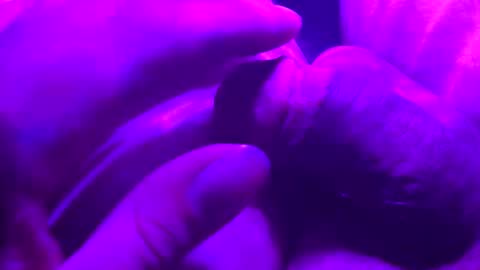 Snapshot of crazyfreak123455 chatting on 11/22/25, 06:56 crazyfreak123455 online show from 11/22/25, 06:56