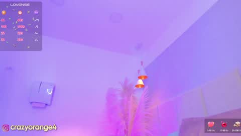 Snapshot of crazyorange4 chatting on 01/12/25, 04:40 You can ask online show from 01/12/25, 04:40