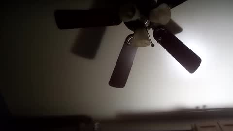 creampie315 online show from 12/22/24, 11:44