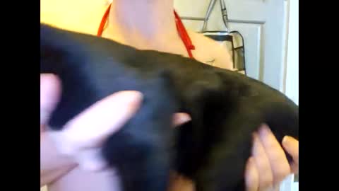 creamymilf11 online show from 09/30/25, 03:17