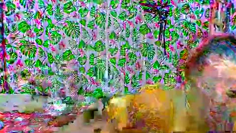 cristine316 online show from 02/25/25, 05:19