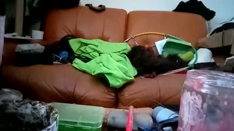 crystelweed online show from 11/09/25, 08:56