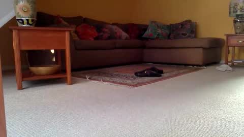 cumonherguys online show from 11/17/25, 09:37