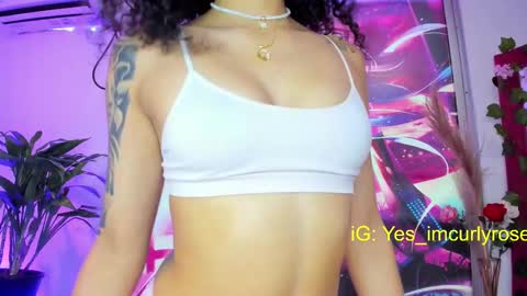 Snapshot of curlyrose_ chatting on 02/17/25, 09:08 Rose online show from 02/17/25, 09:08