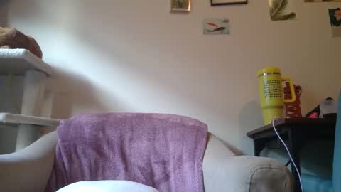 Snapshot of curvycate127 chatting on 01/21/25, 09:25 Cate online show from 01/21/25, 09:25