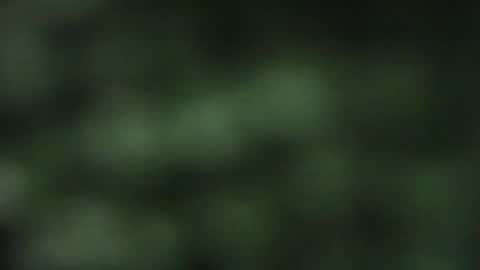 Snapshot of cuteeboy chatting on 10/18/25, 08:09 cuteeboy online show from 10/18/25, 08:09