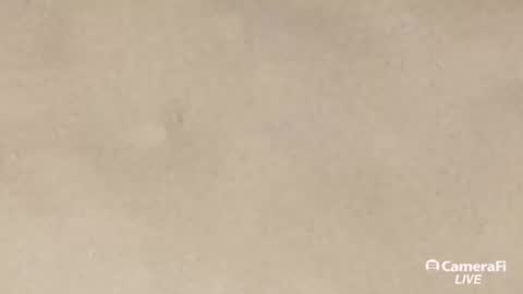 Snapshot of daddybigwhitecock chatting on 09/20/25, 10:05 Tommy online show from 09/20/25, 10:05