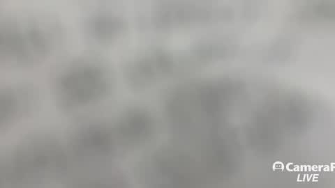 Snapshot of daddybigwhitecock chatting on 11/02/25, 01:24 Tommy online show from 11/02/25, 01:24