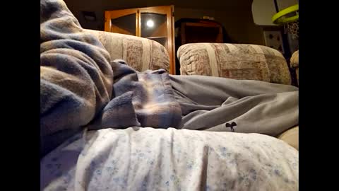 DailyJerker84 online show from 03/01/25, 06:13