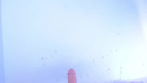 Snapshot of dakkotta_curvy chatting on 10/10/25, 07:51 VALENTINA online show from 10/10/25, 07:51