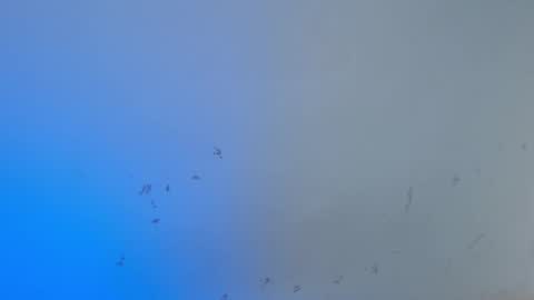 Snapshot of dakkotta_curvy chatting on 10/15/25, 08:03 VALENTINA online show from 10/15/25, 08:03