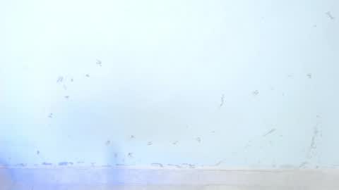 Snapshot of dakkotta_curvy chatting on 10/16/25, 08:48 VALENTINA online show from 10/16/25, 08:48