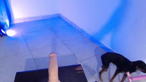 Snapshot of dakkotta_curvy chatting on 11/16/25, 07:41 VALENTINA online show from 11/16/25, 07:41