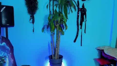 Snapshot of damian_torner chatting on 10/28/25, 07:56 Damian torner online show from 10/28/25, 07:56