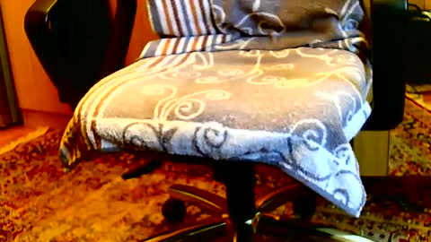 Snapshot of dammerl6 chatting on 01/15/25, 08:20 Dammerl online show from 01/15/25, 08:20