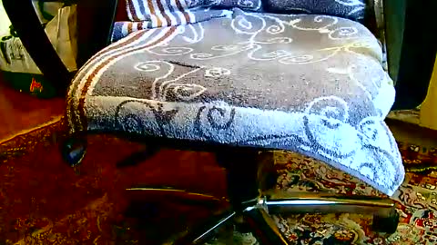 Snapshot of dammerl6 chatting on 01/23/25, 01:24 Dammerl online show from 01/23/25, 01:24