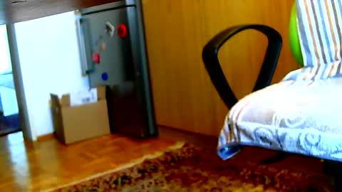 Snapshot of dammerl6 chatting on 02/03/25, 07:40 Dammerl online show from 02/03/25, 07:40