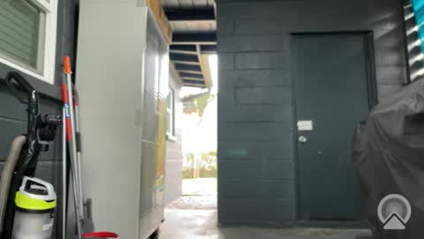 Clyde online show from 11/09/25, 06:28