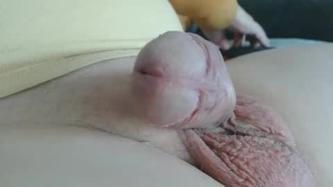 Snapshot of damocles01 chatting on 10/20/25, 12:49 Damocles online show from 10/20/25, 12:49