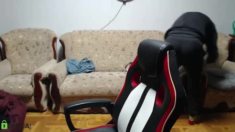 Daniel online show from 02/09/25, 05:11