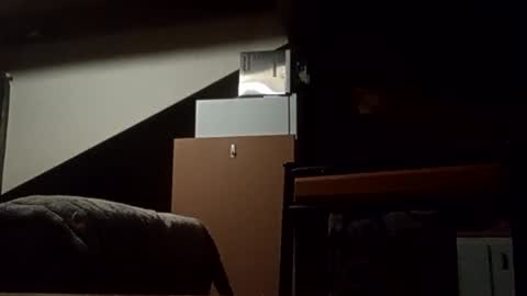 Snapshot of danieldayz chatting on 11/04/25, 10:58 danieldayz online show from 11/04/25, 10:58