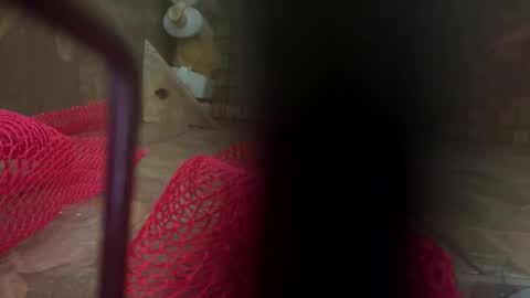 Snapshot of dankcock69420 chatting on 11/17/25, 05:24 dankcock69420 online show from 11/17/25, 05:24