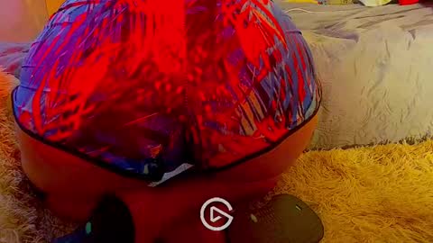 Snapshot of dankshepp chatting on 01/26/25, 08:45 dandeb online show from 01/26/25, 08:45