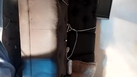 Snapshot of dankshepp chatting on 09/15/25, 06:19 dandeb online show from 09/15/25, 06:19