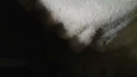 Danielle online show from 10/30/25, 09:22