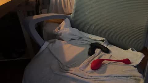 Snapshot of danteslife chatting on 11/18/25, 07:13 Dante online show from 11/18/25, 07:13