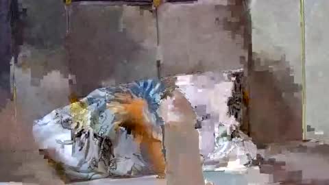 Dark Candy 254 online show from 12/13/24, 03:54