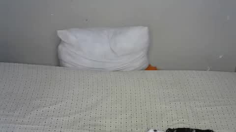 dark_lovly online show from 10/19/25, 07:20