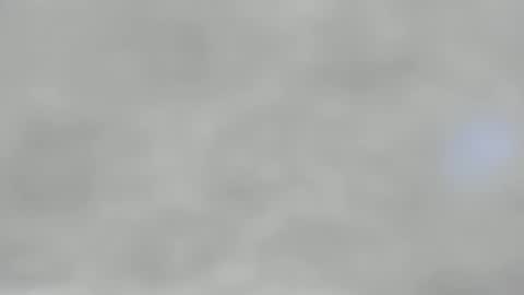 Darsha online show from 12/20/24, 03:47