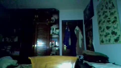 Snapshot of david33333333 chatting on 03/09/25, 04:33 david33333333 online show from 03/09/25, 04:33