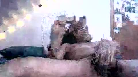 David Berry online show from 02/16/25, 02:10