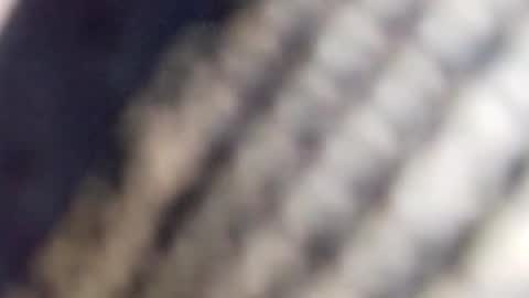 david_stone1969 online show from 01/23/25, 01:56