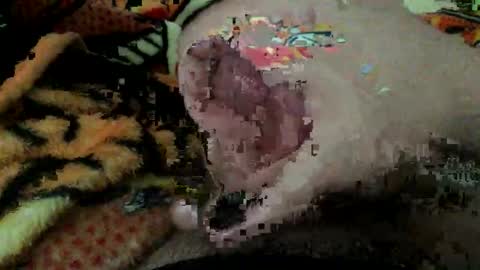 Snapshot of dboy606d chatting on 11/08/25, 08:07 dboy606d online show from 11/08/25, 08:07