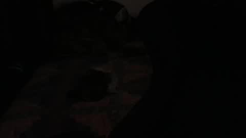 DC online show from 11/23/25, 02:22