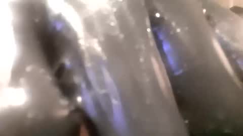 ddick0303 online show from 11/14/25, 04:00