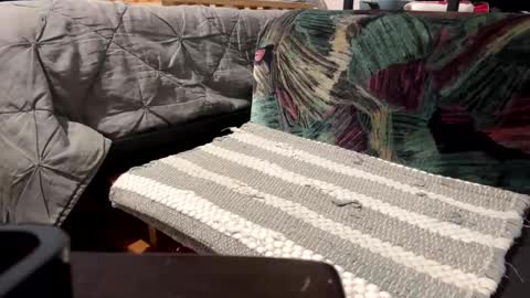 deknaux online show from 02/01/25, 05:05