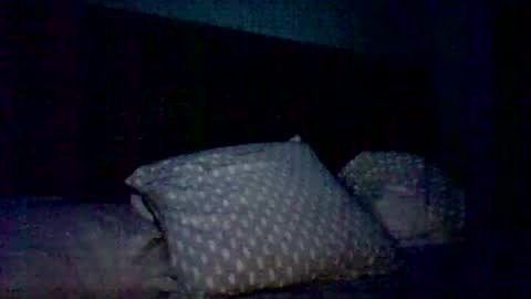 Snapshot of derokkes chatting on 12/12/24, 11:58 derokkes online show from 12/12/24, 11:58